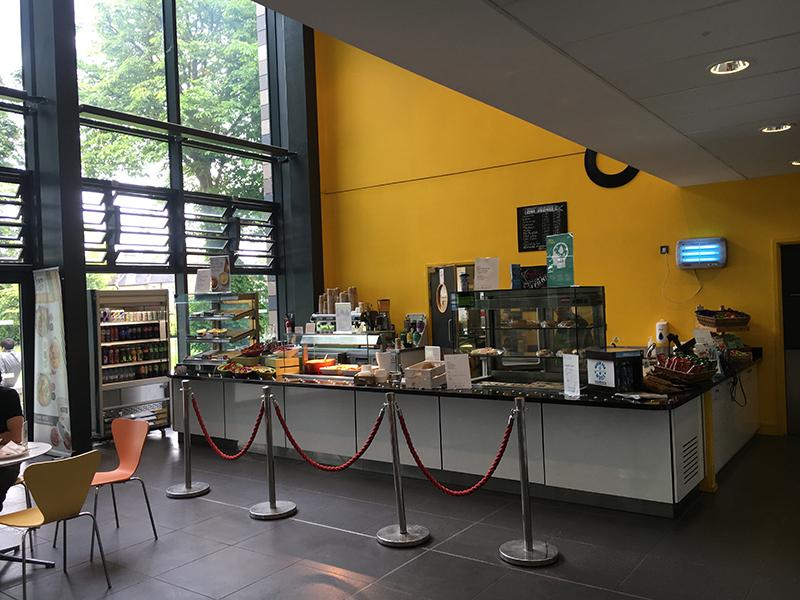 The PSH Cafe
