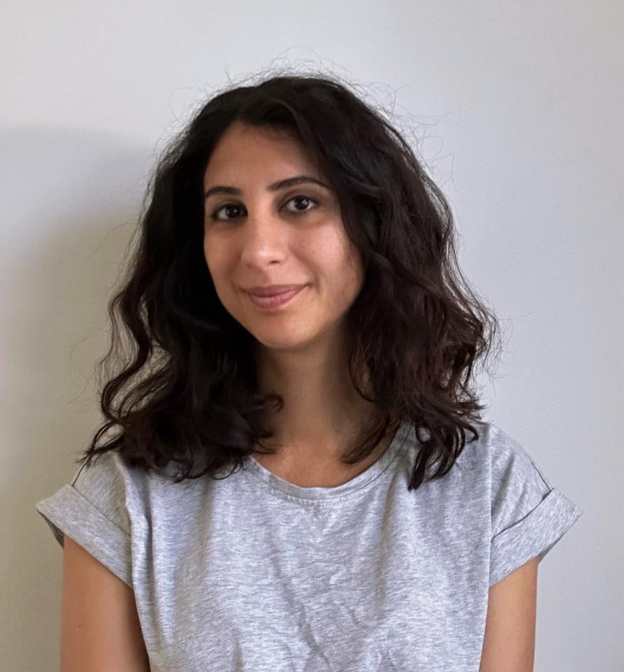 Profile photograph of Haleh Agar wearing a grey t-shirt. 