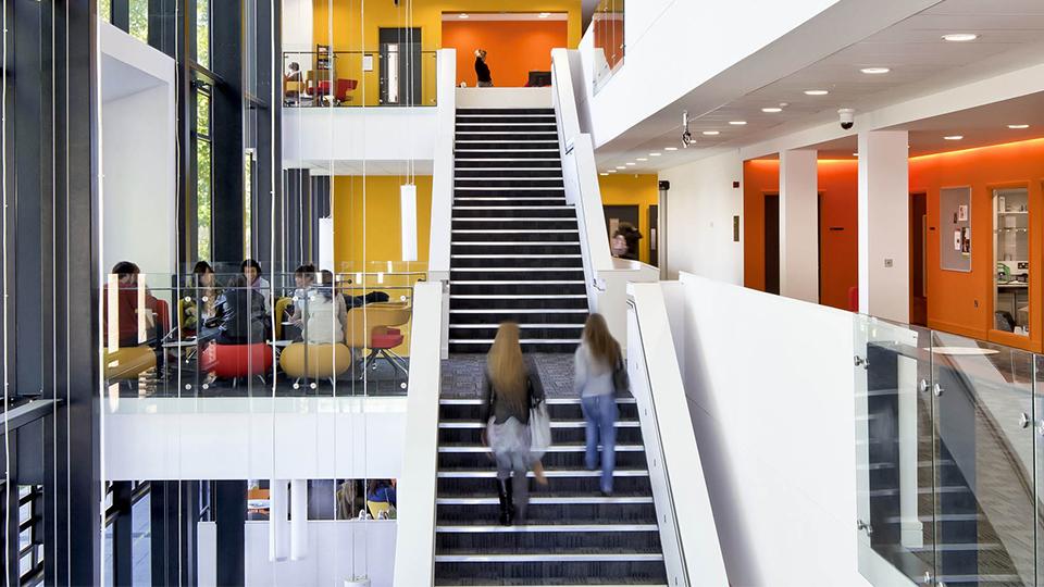 BSc (Hons) Business Management